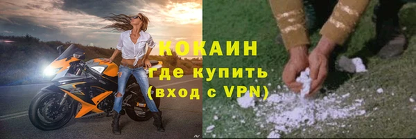 PSILOCYBIN Гусь-Хрустальный