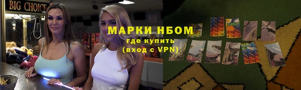 PSILOCYBIN Гусь-Хрустальный