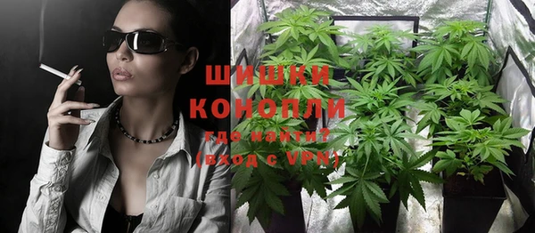 PSILOCYBIN Гусь-Хрустальный