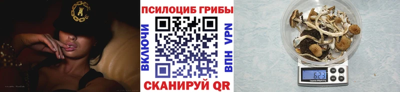 Галлюциногенные грибы мухоморы  где продают наркотики  Мамоново 